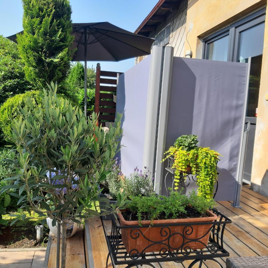 Apartman U Javoru Varnsdorf Exterior foto