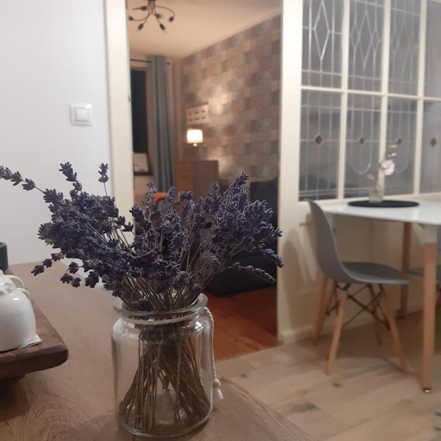 Apartman U Javoru Varnsdorf Exterior foto